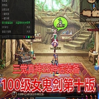 【亲测】DNF100级女鬼剑第十版单机版一键端 三觉真神SS神...