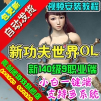 【亲测】新功夫世界单机版，3D武侠网络游戏新140级9职业GM...
