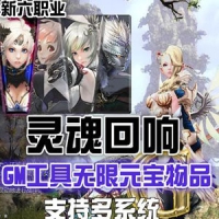 【亲测】灵魂回响单机版 网游灵魂回响六职业游戏一键端
