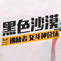 黑色沙漠2260单机版，送2100、795和491版黑色沙漠网游一键端